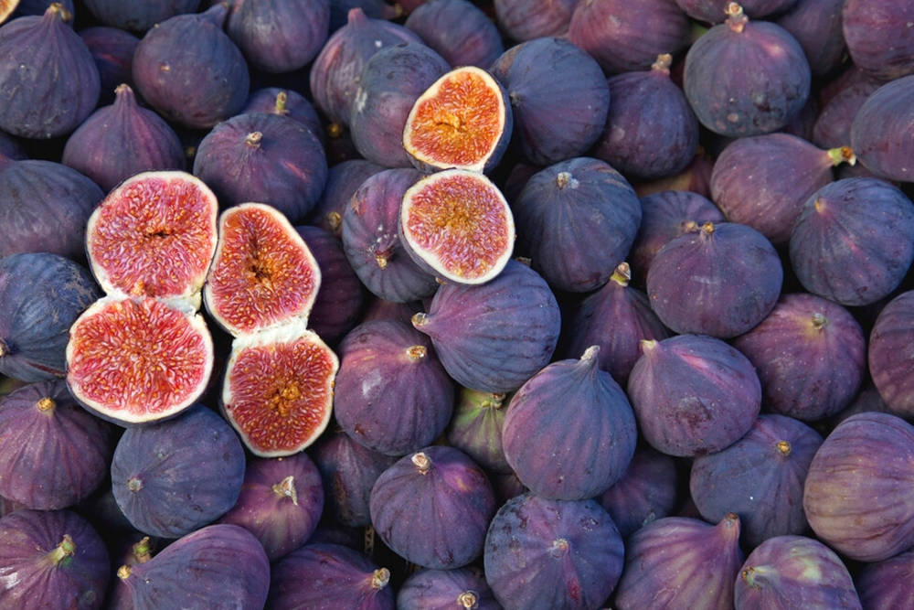 common figs, purple figs, juicy pink interiors, SD Desktop Wallpaper