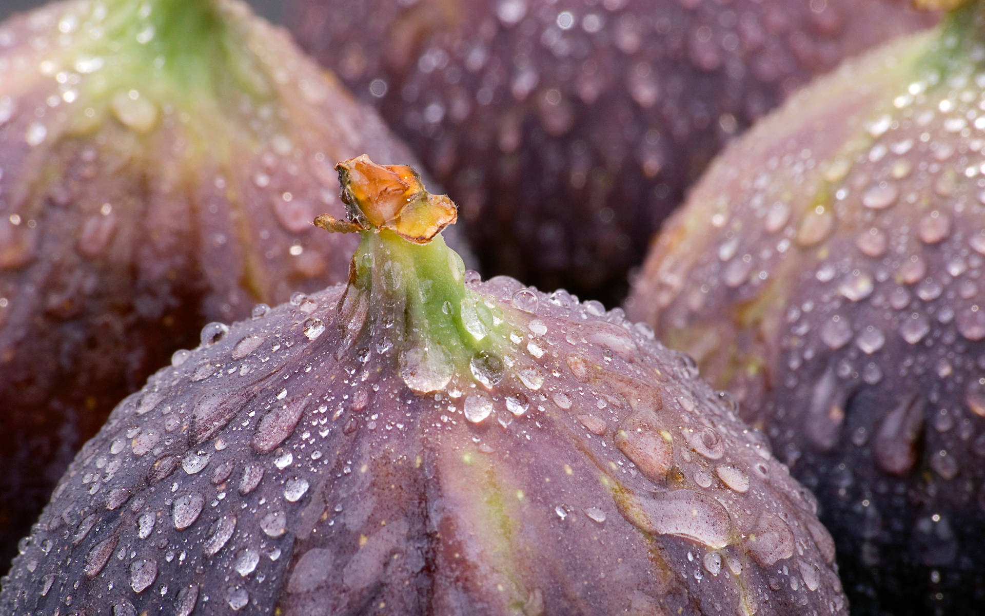 washed figs, plump purple figs, glistening with dew drops, Full HD Desktop Wallpaper