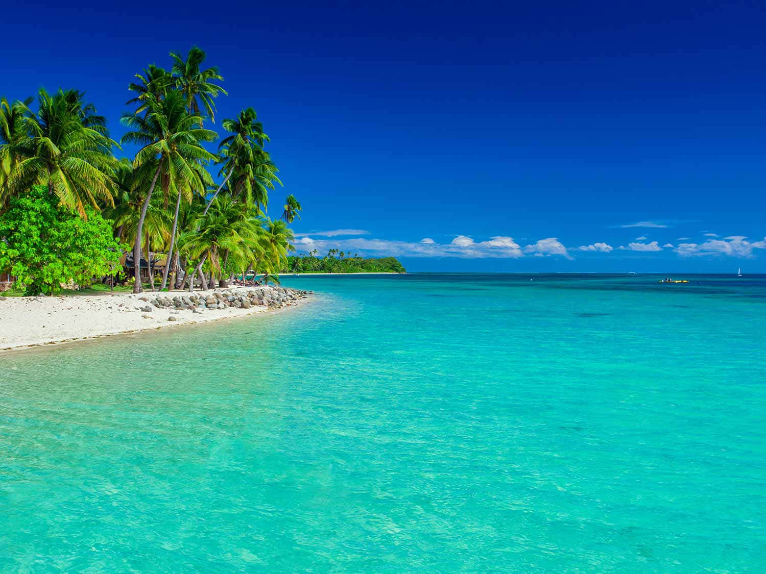 Fiji Beach, turquoise waters, lush palm trees, HD Desktop Wallpaper