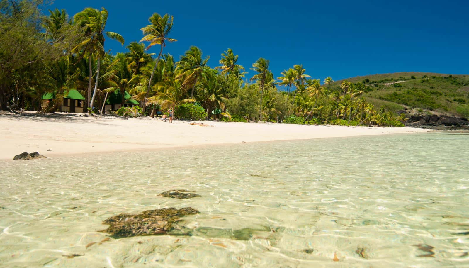 Fiji Beach, turquoise water, white sand beach, HD Desktop Wallpaper