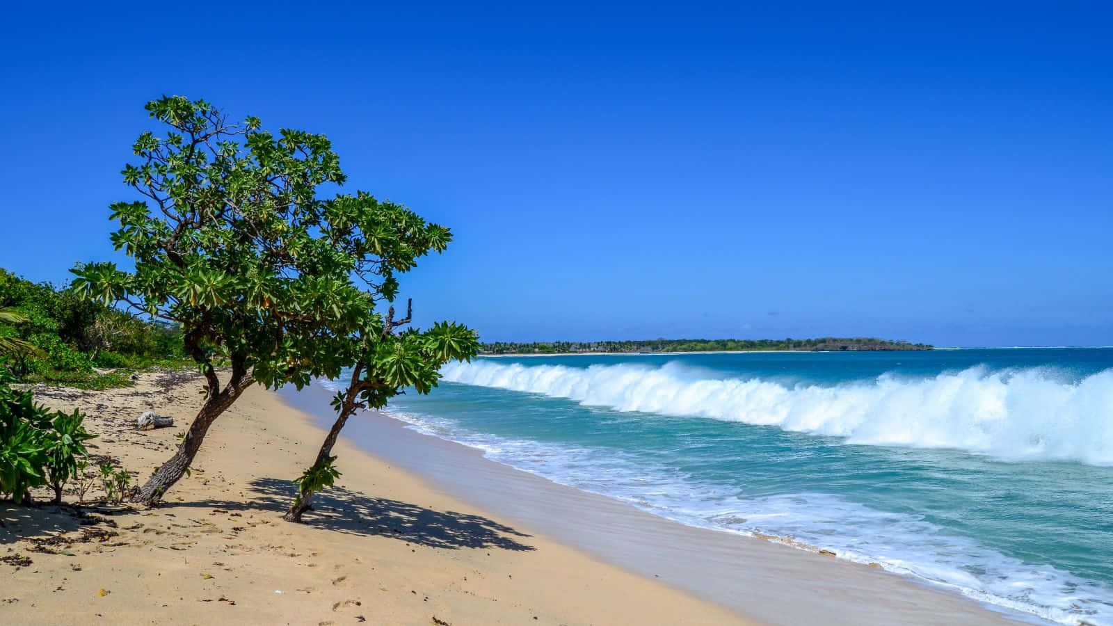 Fiji Beach, golden sand, turquoise waves, HD Desktop Wallpaper