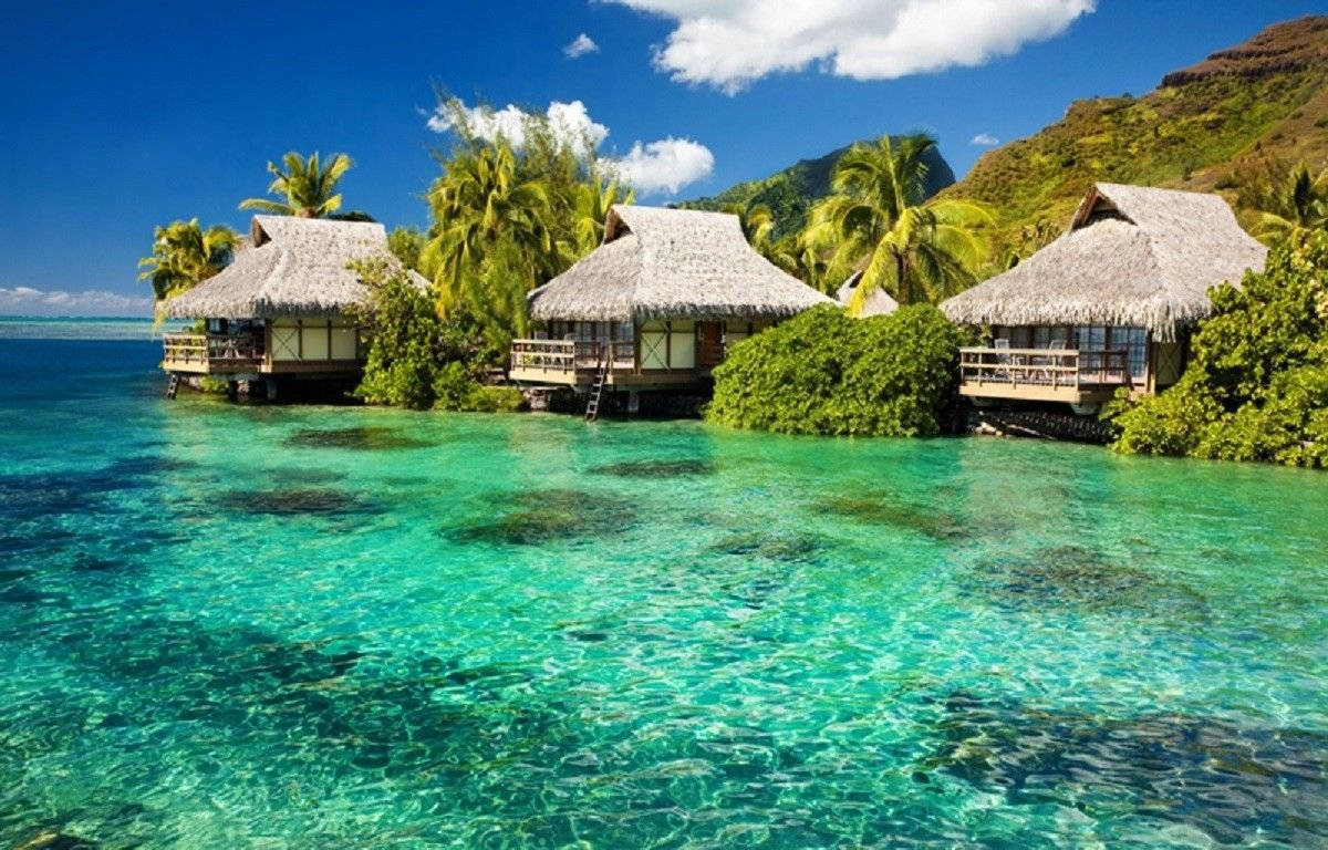 Fiji, tiki huts, overwater bungalows, SD Desktop Wallpaper