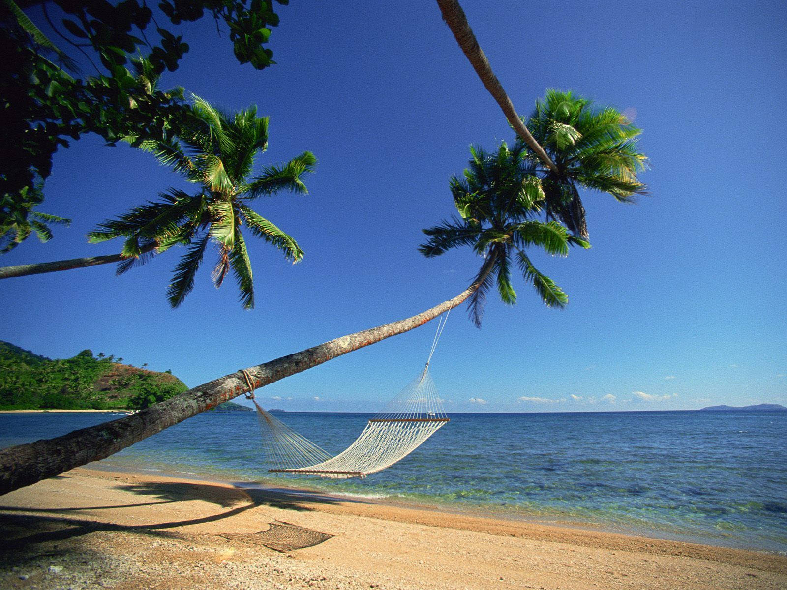 Fiji, hammock, palm trees, HD Desktop Wallpaper