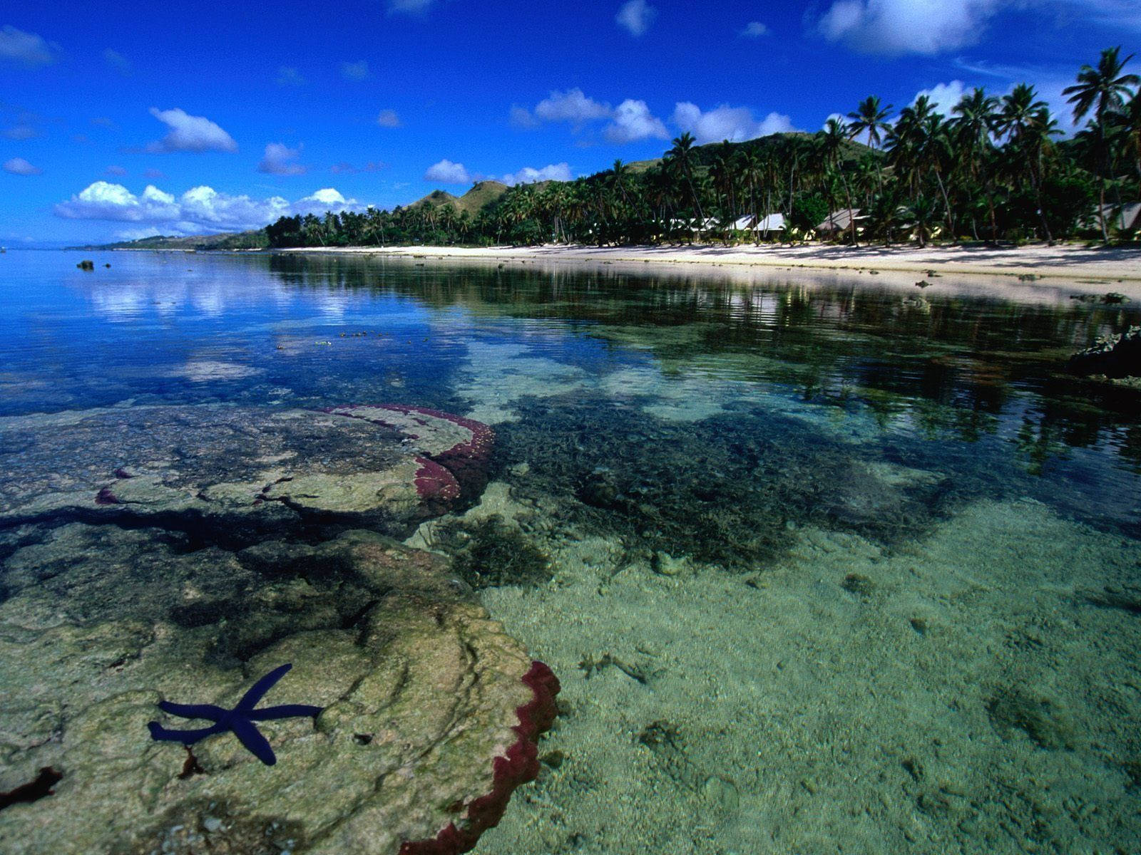 Fiji, turquoise water, coral, HD Desktop Wallpaper