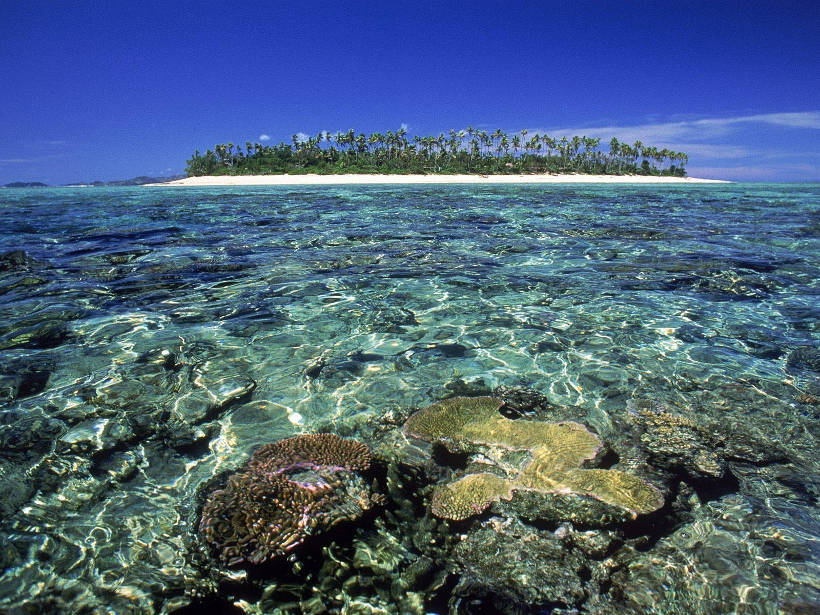 Fiji, underwater corals, turquoise water, HD Desktop Wallpaper