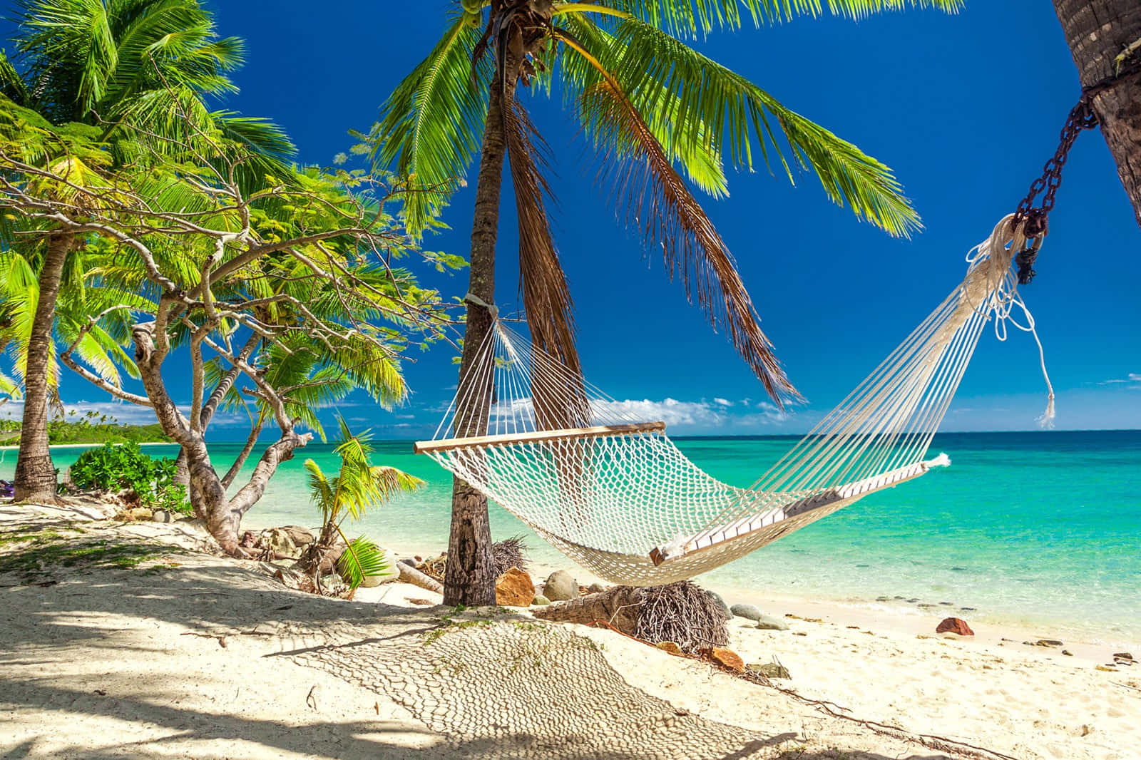 Fiji beach, white hammock, palm trees, HD Desktop Wallpaper