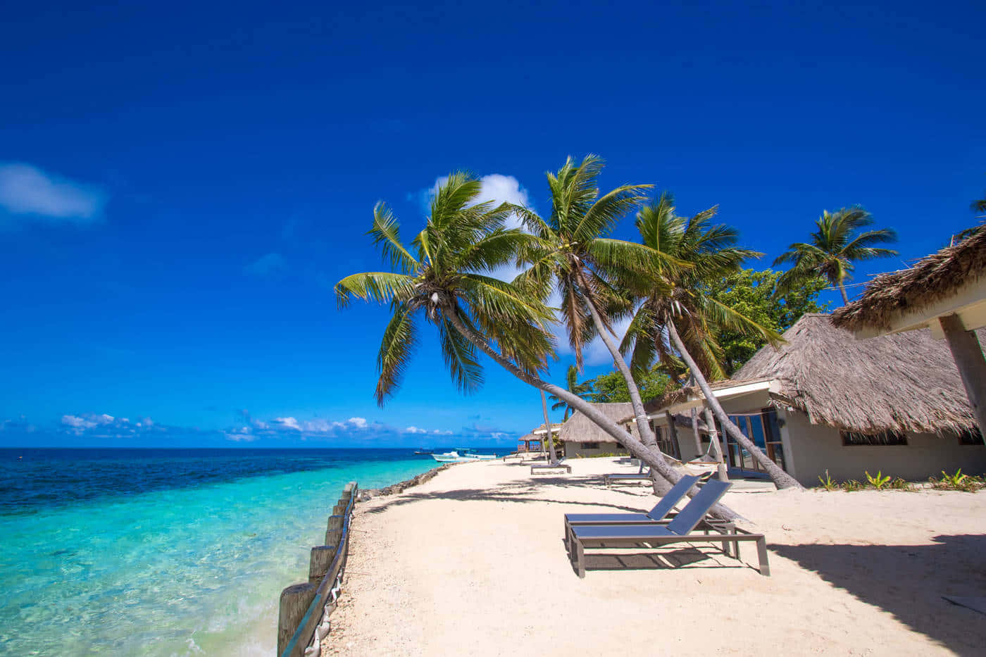 Fiji Beach, turquoise waters, palm trees, HD Desktop Wallpaper