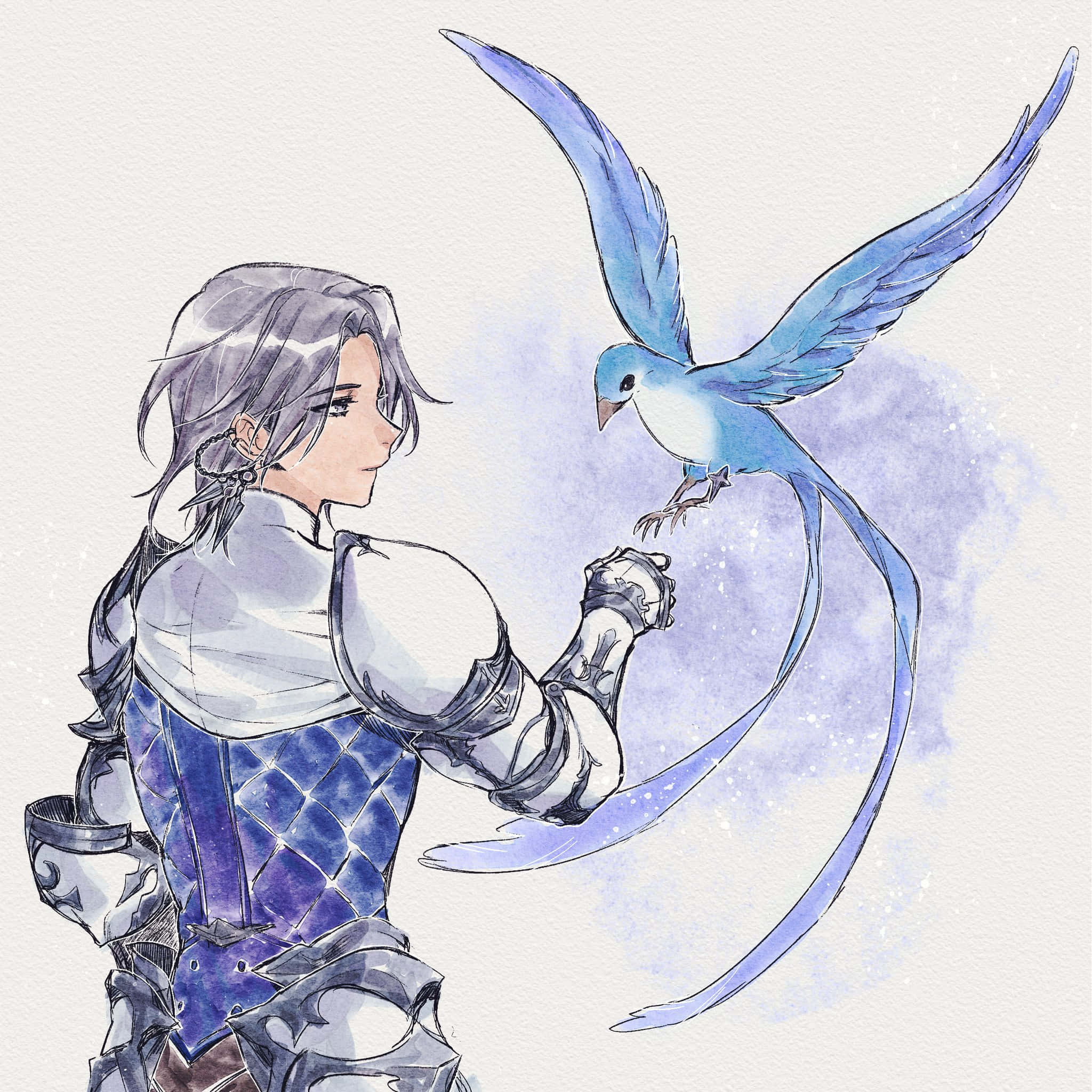 Final Fantasy Paladin, blue bird, silver-haired, Full HD Desktop Wallpaper