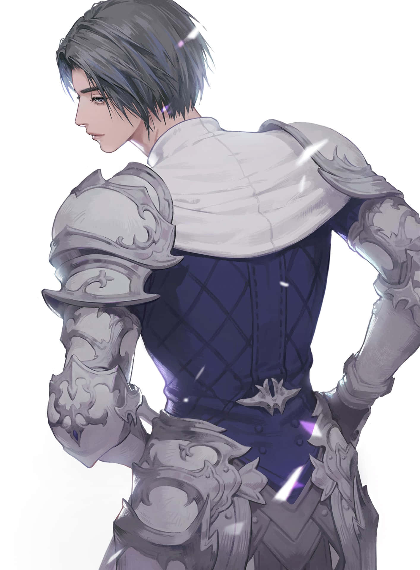 Final Fantasy Paladin, silver-haired knight, ornate silver armor, HD Phone Wallpaper