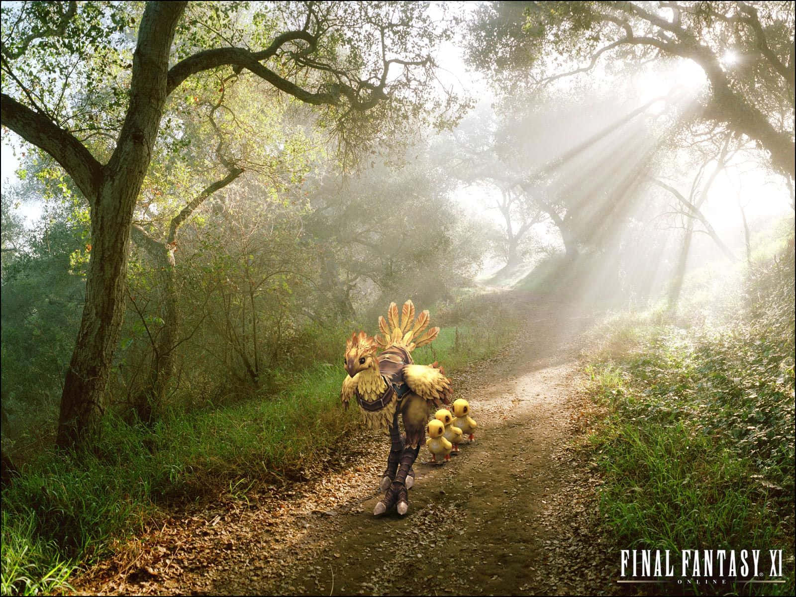 Final Fantasy X I, chocobo, chicks, HD Desktop Wallpaper