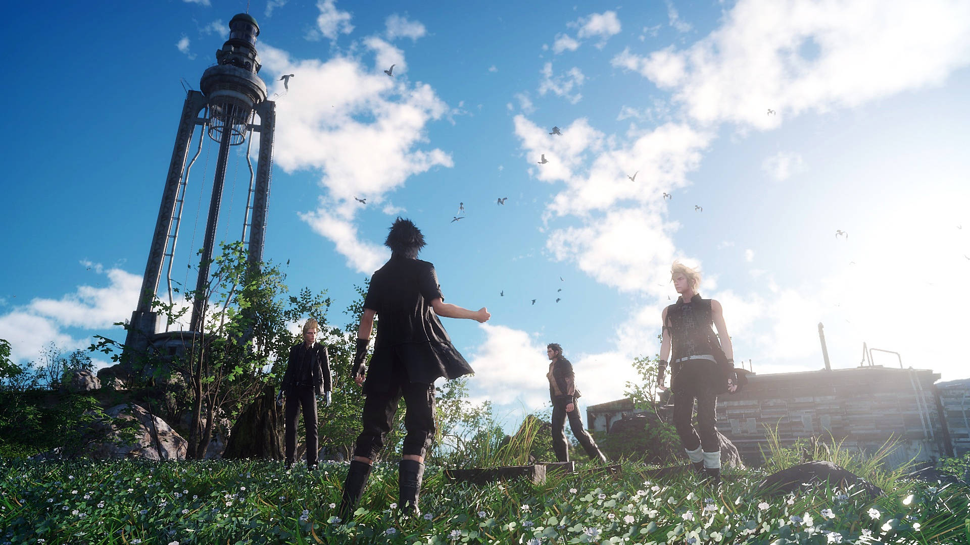 Final Fantasy XV, sunlit field, white flowers, Full HD Desktop Wallpaper