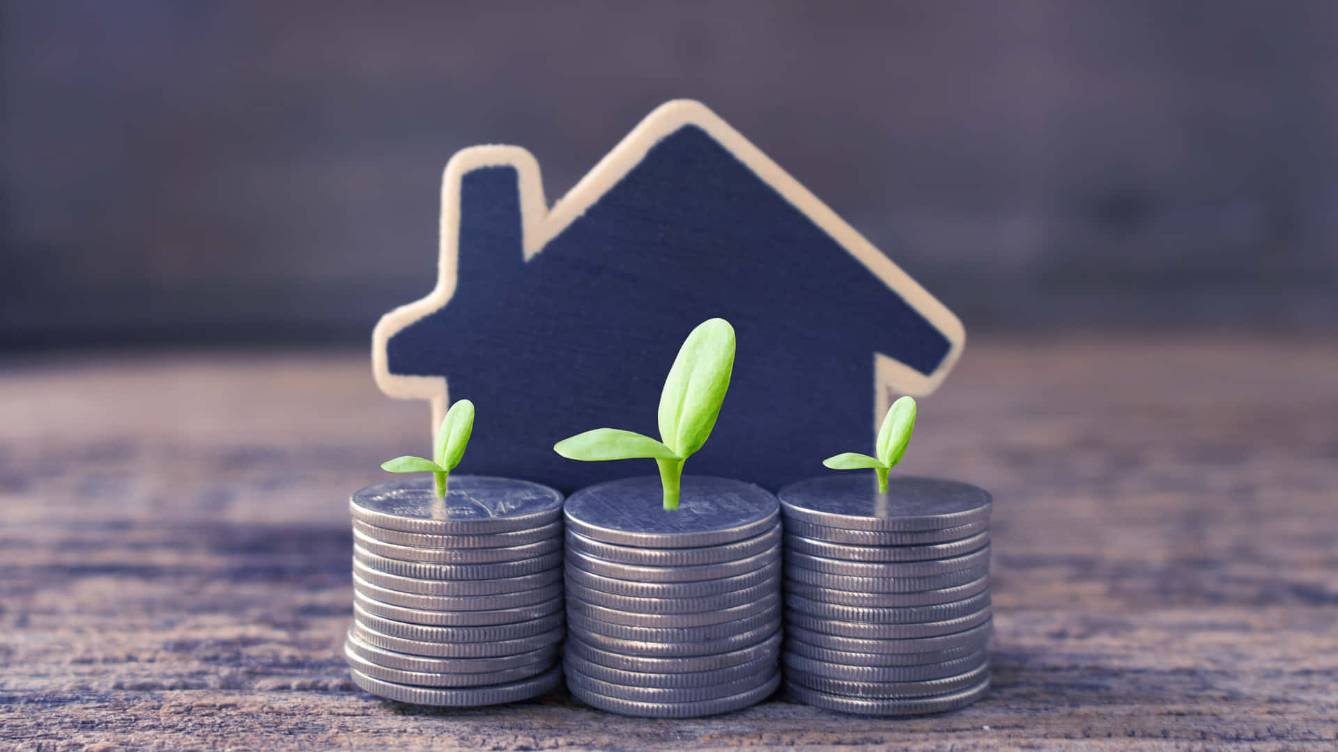 coins, green seedlings, house-shaped cutout, Full HD Desktop Wallpaper
