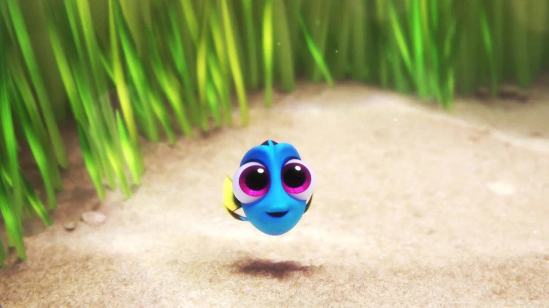 Finding Dory, Dory, blue animated fish, Full HD Desktop Wallpaper
