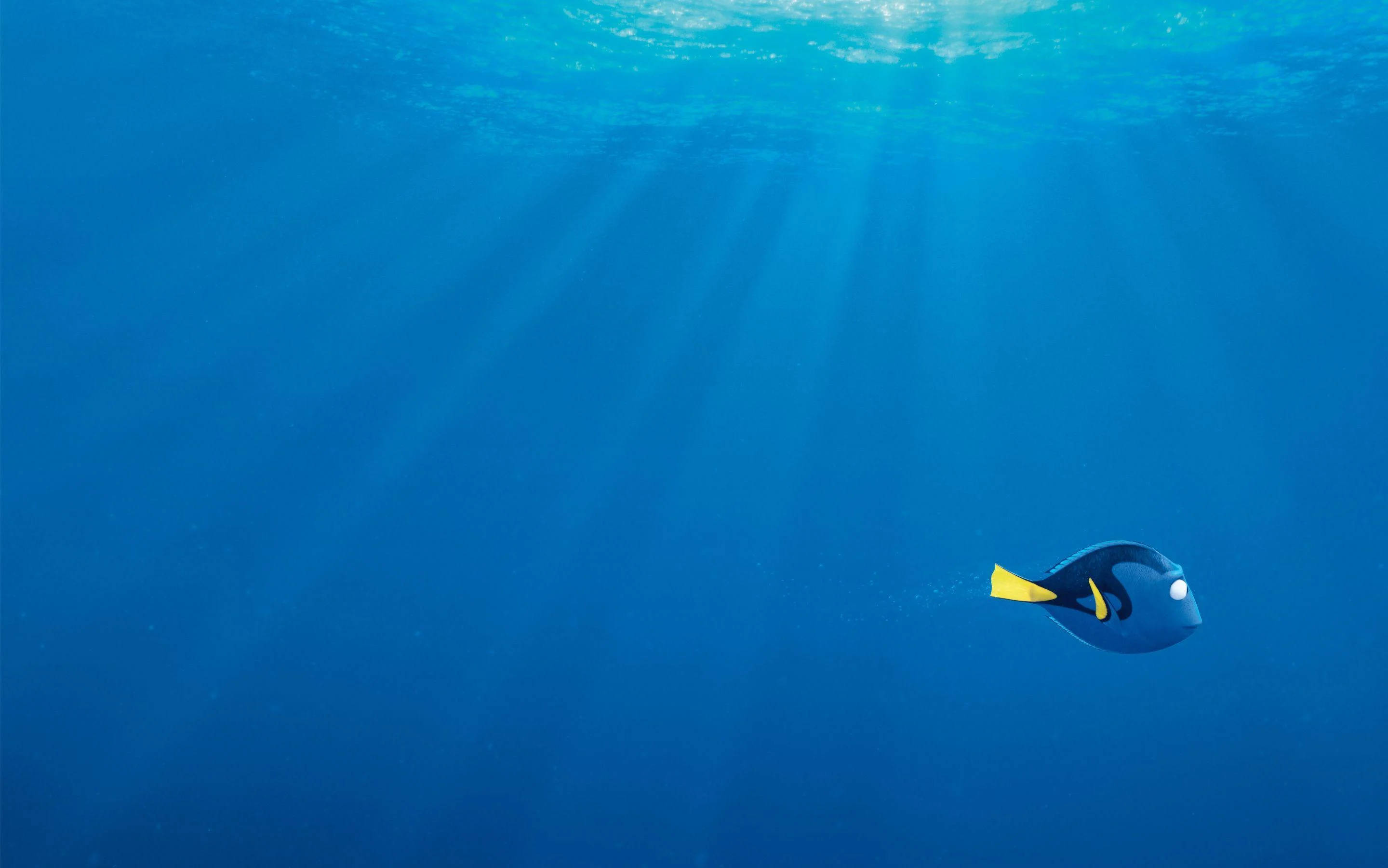 Finding Dory, blue tang fish, Dory, 2K Desktop Wallpaper