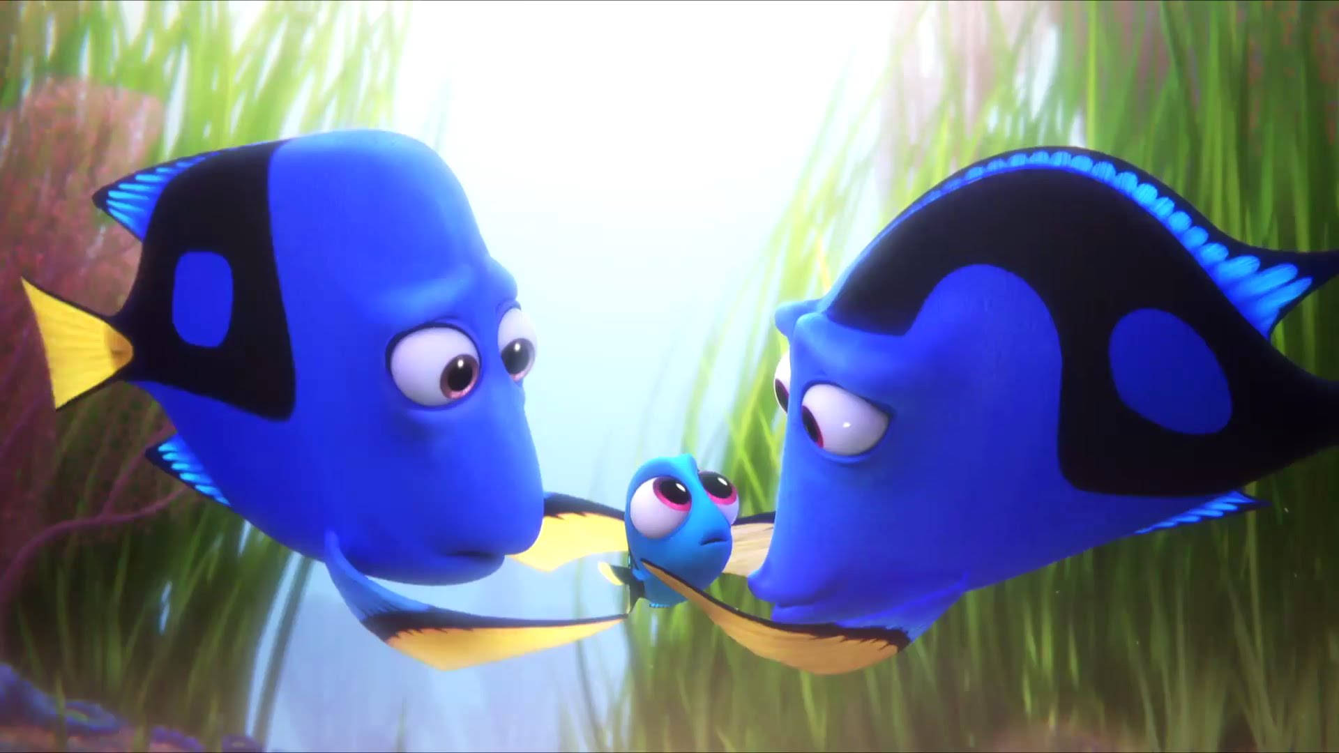Finding Dory, blue tang fish, tiny blue fish, Full HD Desktop Wallpaper