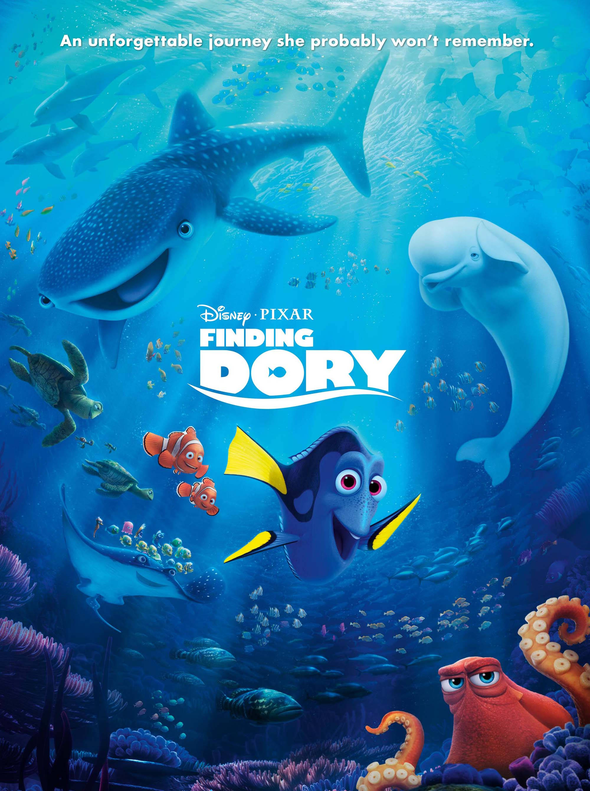 Finding Dory, Dory, blue tang fish, 2K Phone Wallpaper