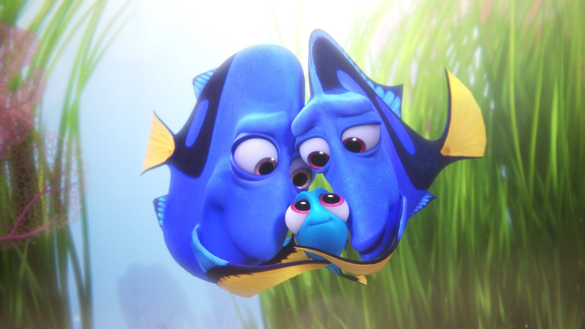 Finding Dory, blue tang fish, tiny blue fish, Full HD Desktop Wallpaper