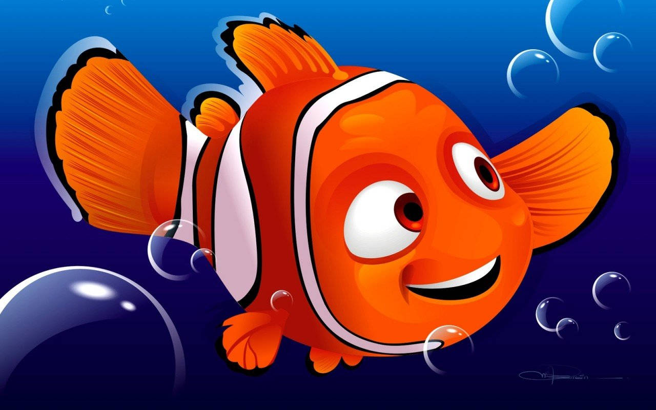 Finding Nemo, orange clownfish, white stripes, HD Desktop Wallpaper