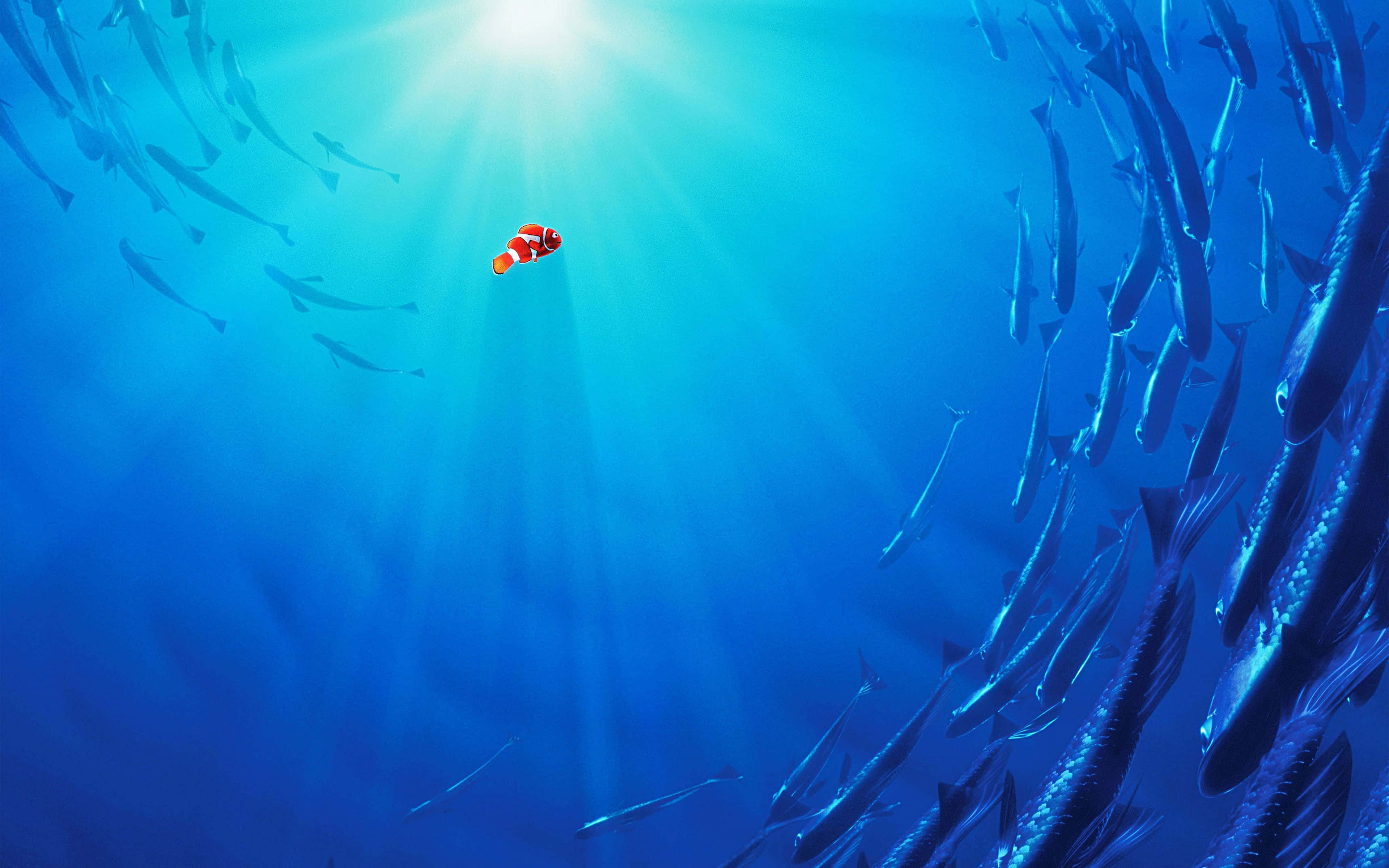 Finding Nemo, clownfish, radiant blue ocean waters, 4K Desktop Wallpaper