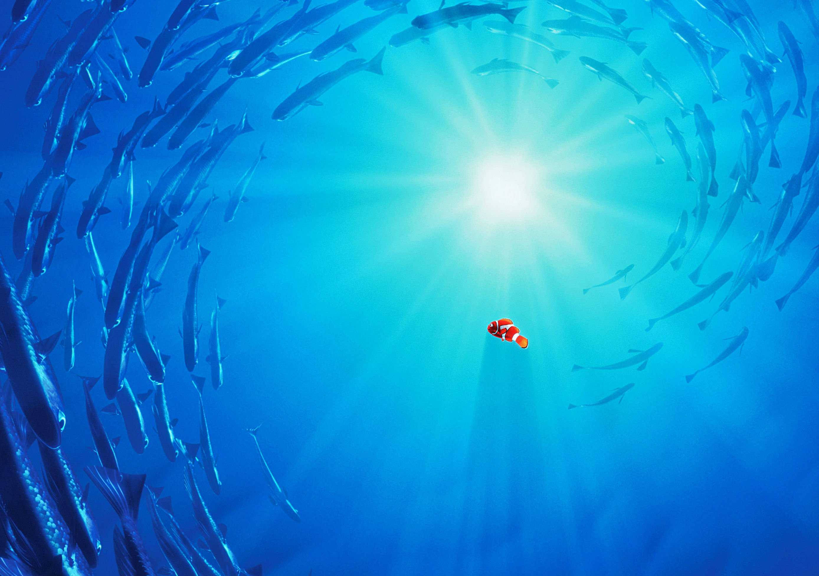 Finding Nemo, clownfish, school of silver fish, 2K Desktop Wallpaper