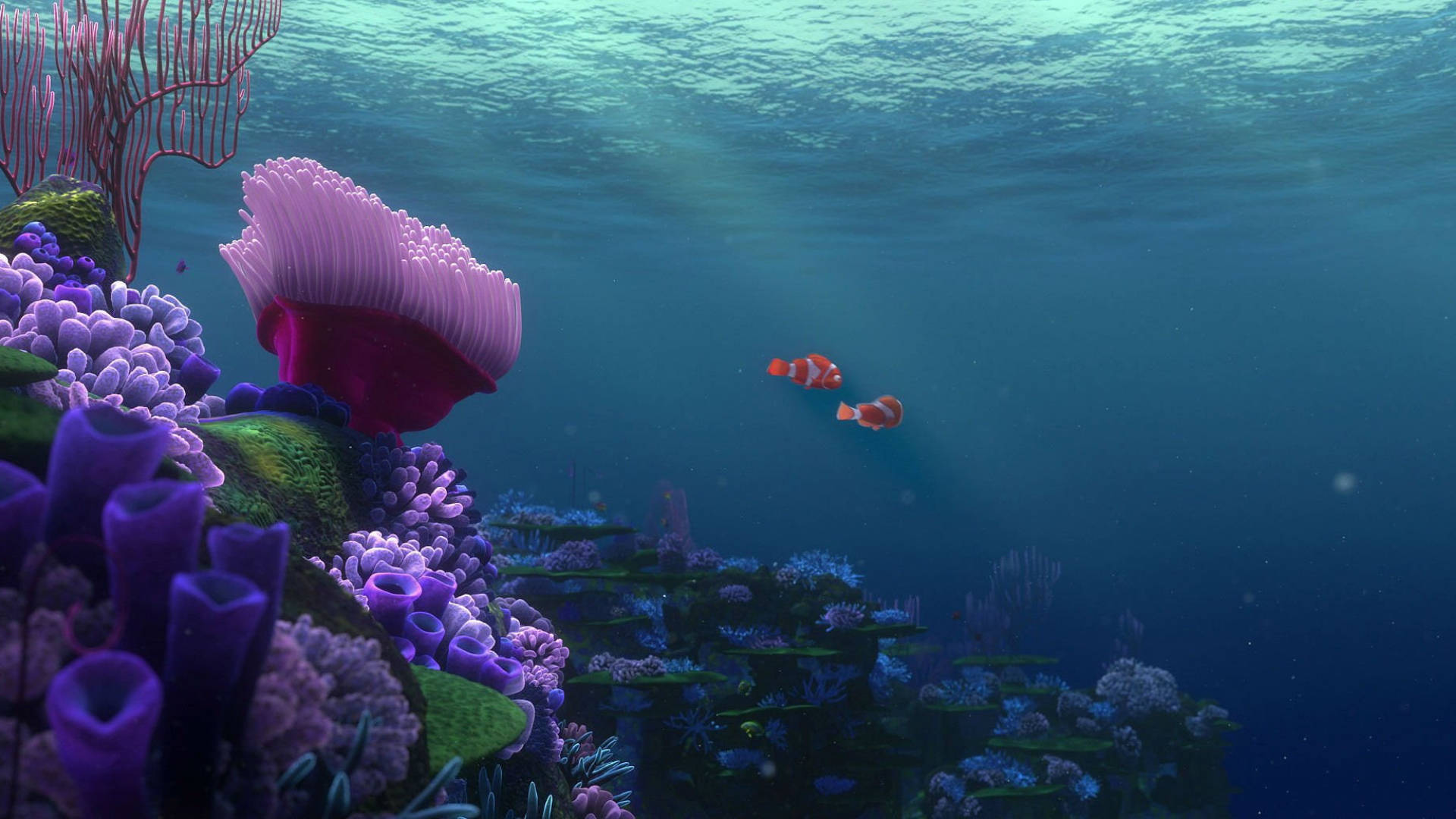 Finding Nemo, clownfish, coral reef, Full HD Desktop Wallpaper