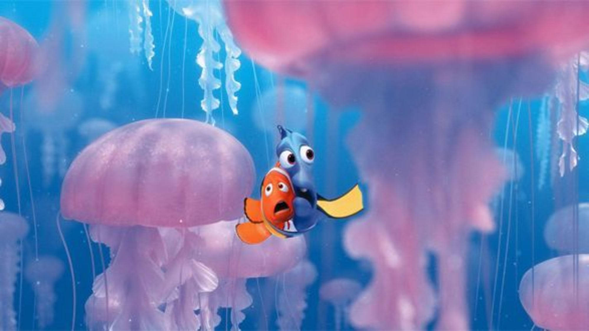 Finding Nemo, pink jellyfish, purple jellyfish, Full HD Desktop Wallpaper