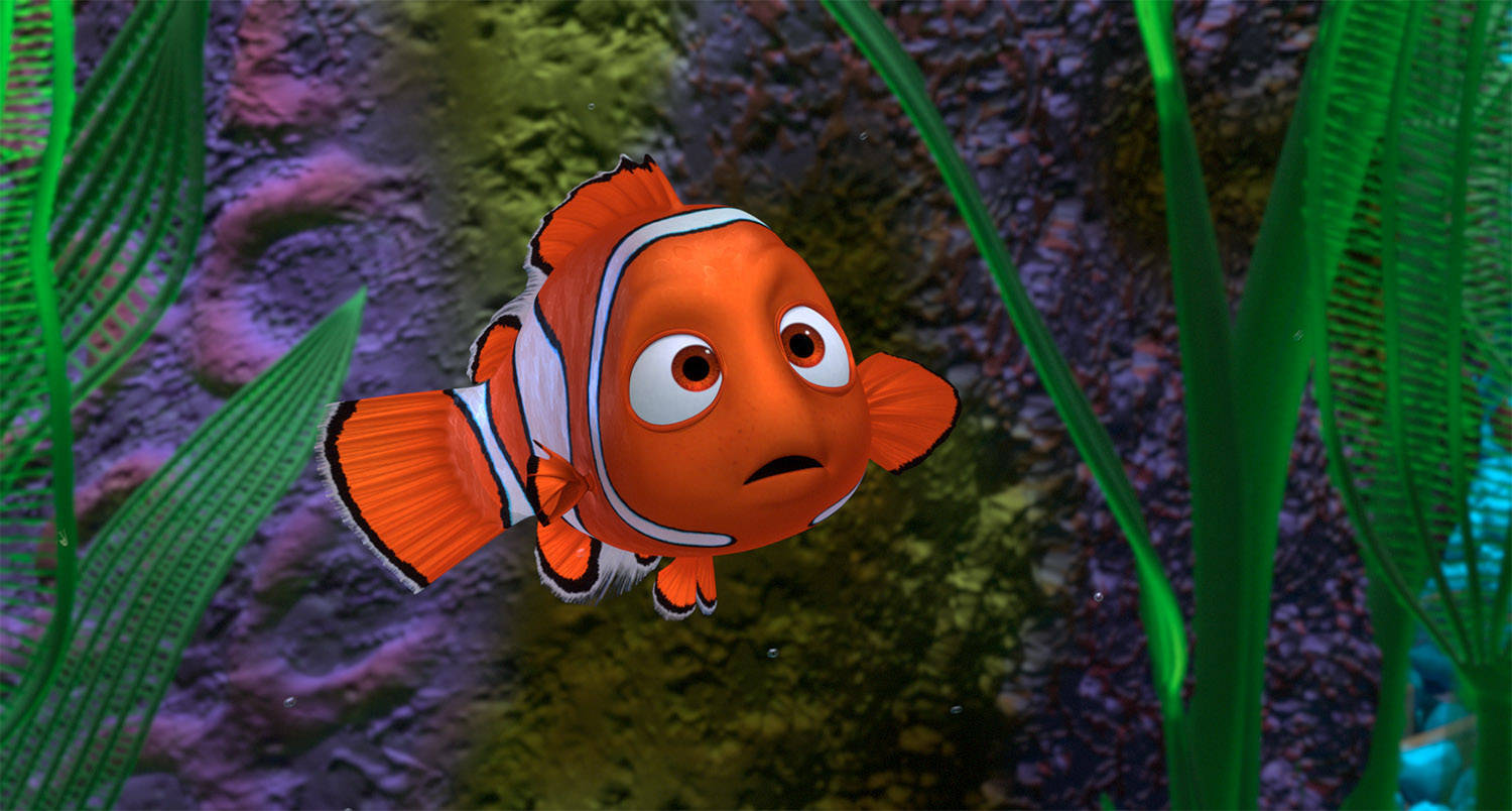 Finding Nemo, clown fish, orange, HD Desktop Wallpaper