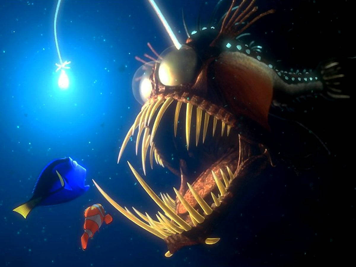Finding Nemo, anglerfish, glowing lure, SD Desktop Wallpaper