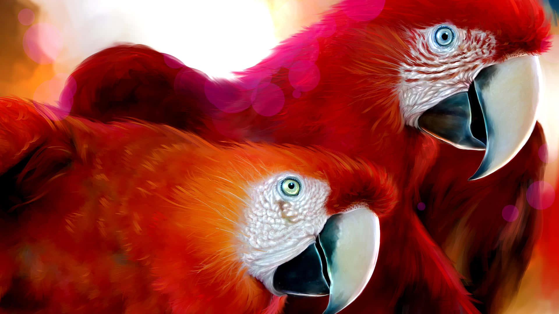 fine arts, 1920 x 1080 wallpaper, vibrant red macaws, Full HD Desktop Wallpaper