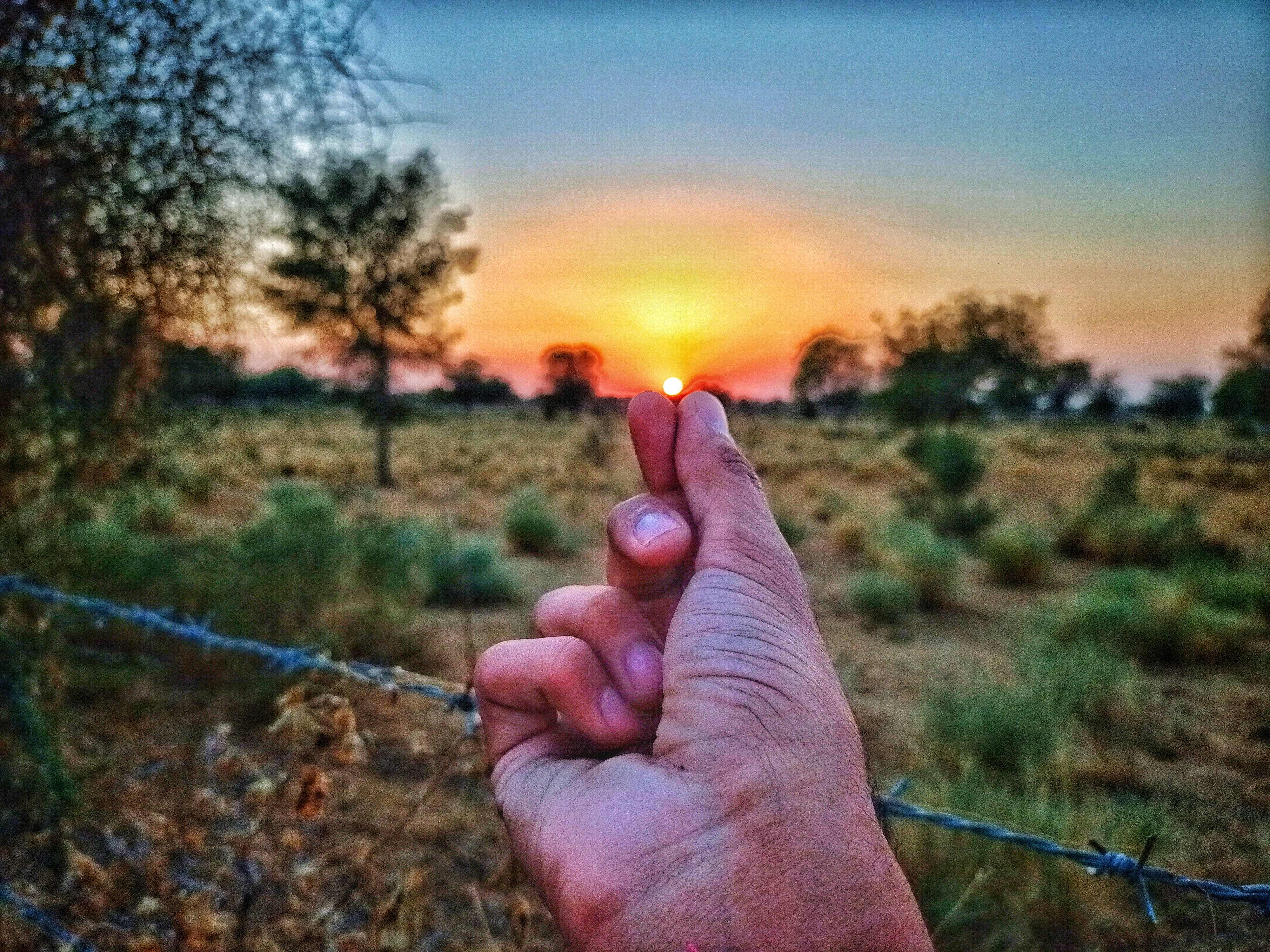 Finger Heart, sunset, dry grassland, 4K Desktop Wallpaper