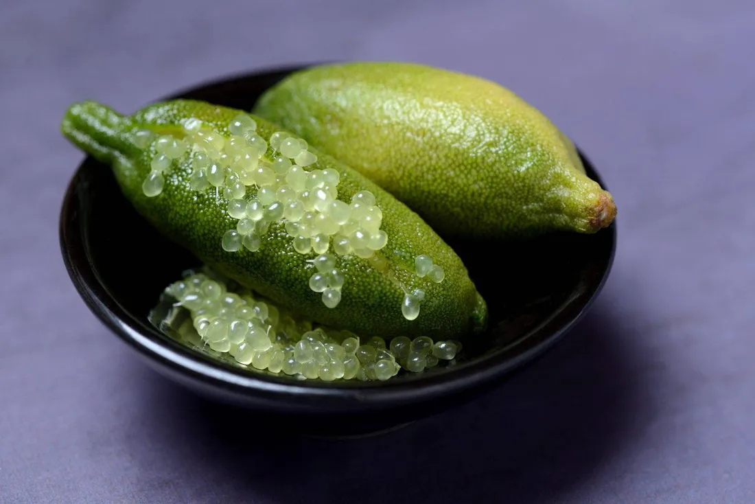 Finger Lime