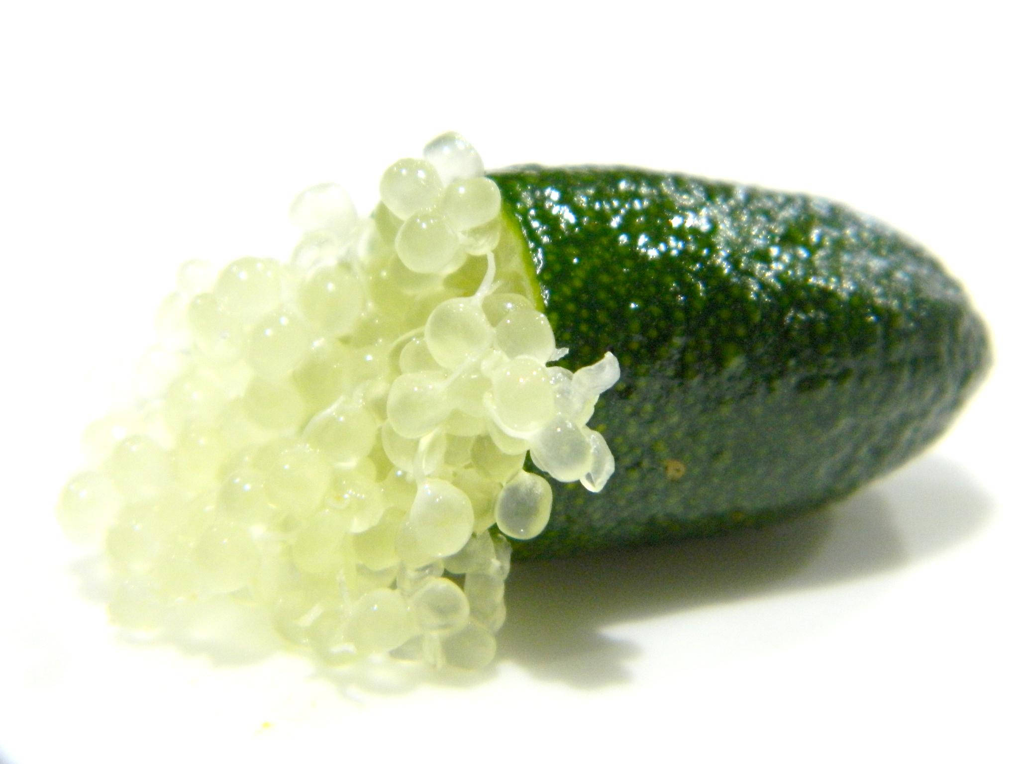 Finger Lime, yellow insides, translucent pale yellow caviar, Full HD Desktop Wallpaper