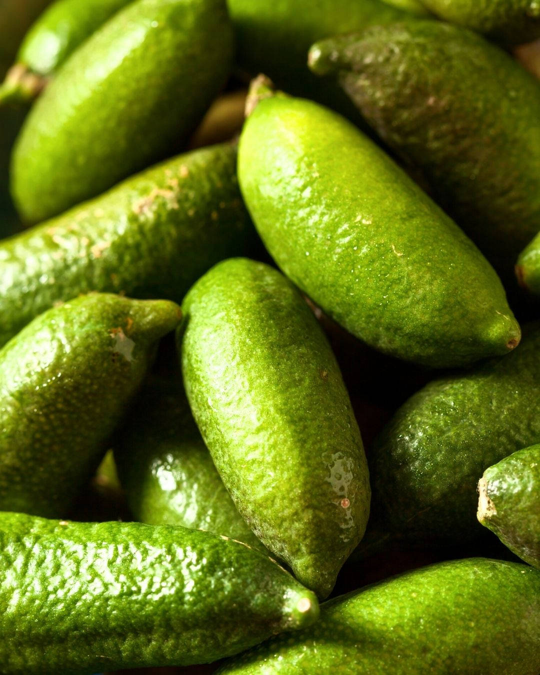 green finger limes, vibrant green, textured rinds, HD Phone Wallpaper