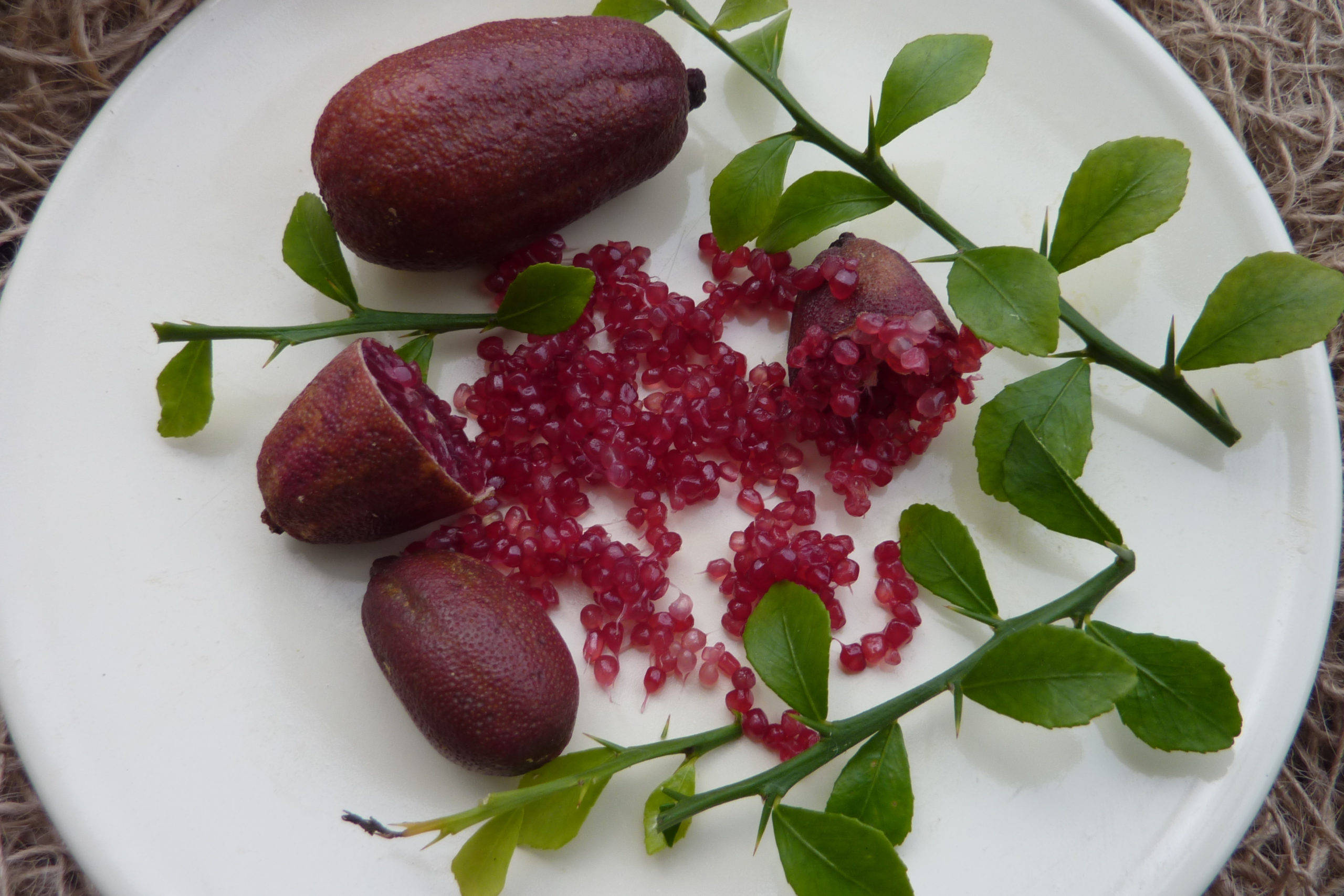purple finger limes, white plate, vibrant red kumquat seeds, 2K Desktop Wallpaper