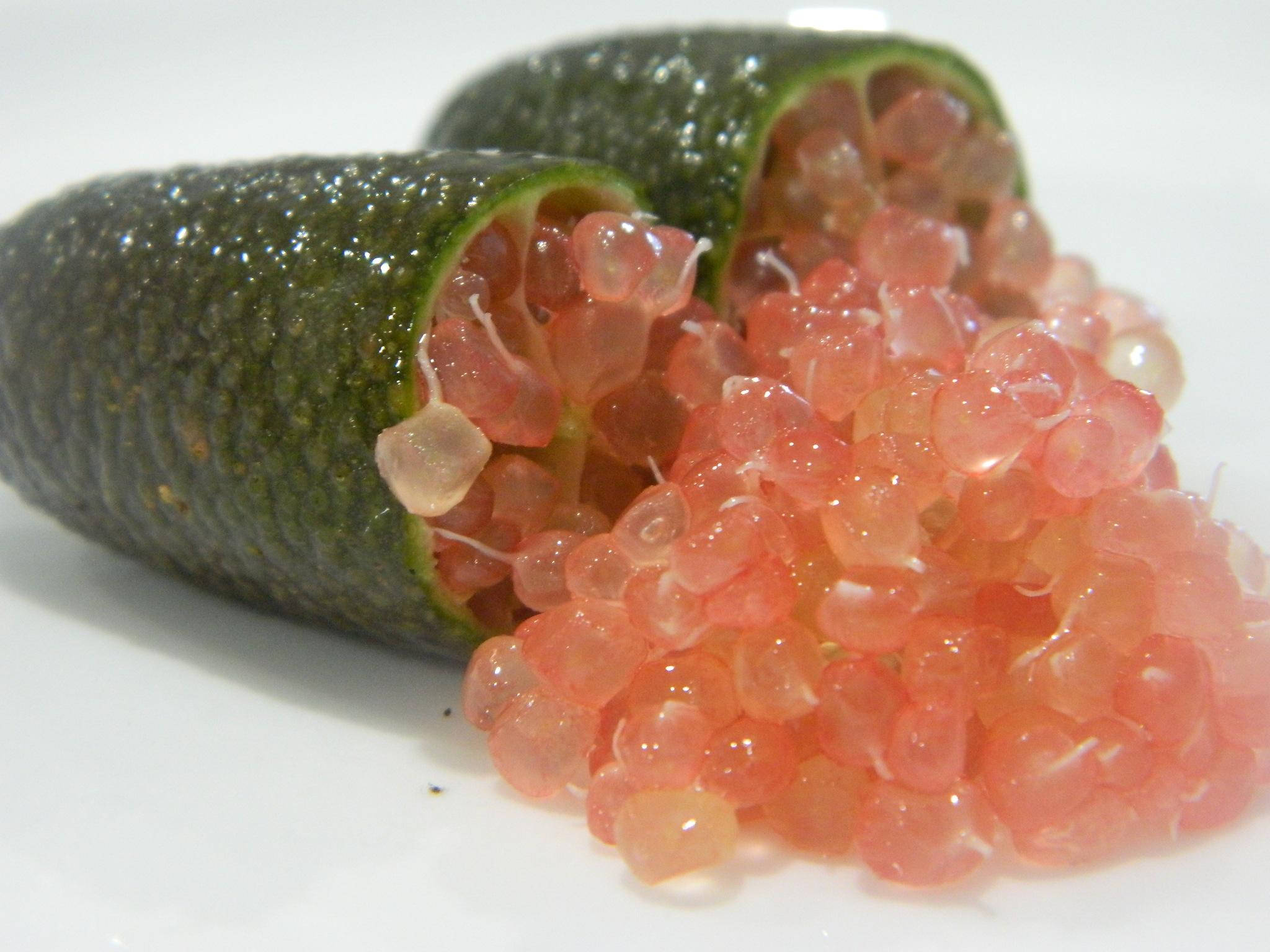 Finger Lime, pink insides, glistening pink translucent caviar, Full HD Desktop Wallpaper