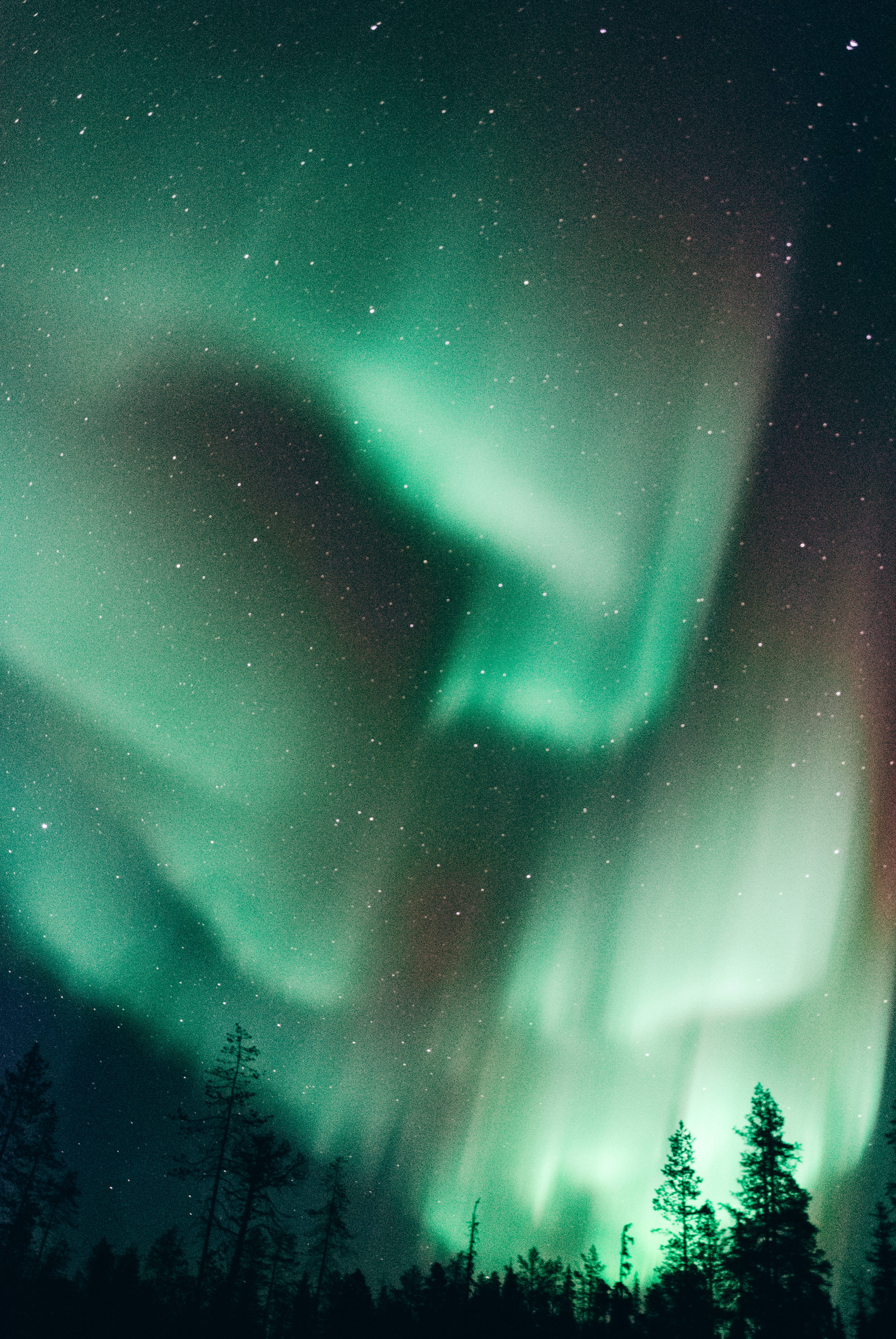 dancing northern lights, Finland, vibrant green aurora borealis, 4K Phone Wallpaper