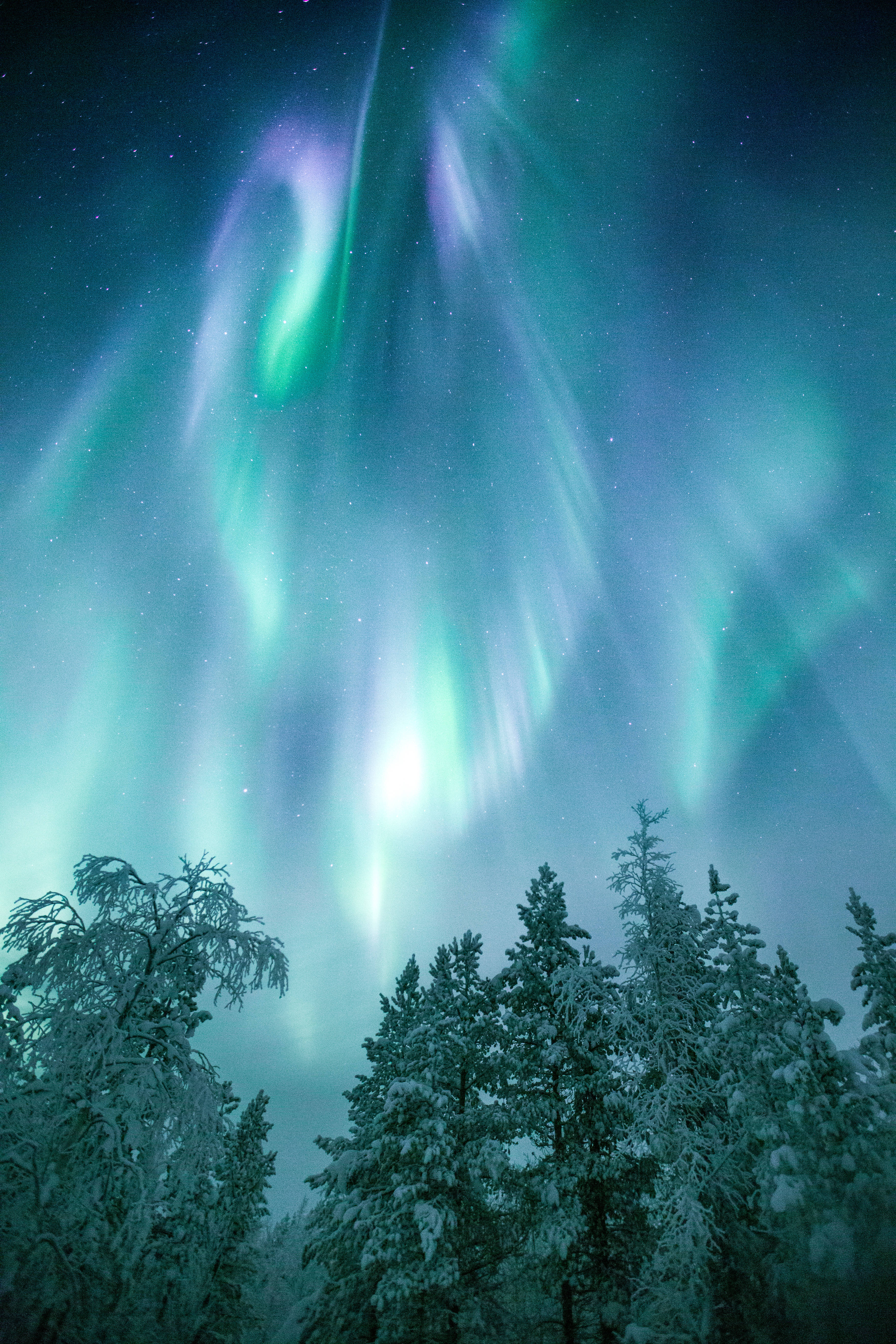 aurora borealis, greenish purple, starry winter sky, 5K Phone Wallpaper