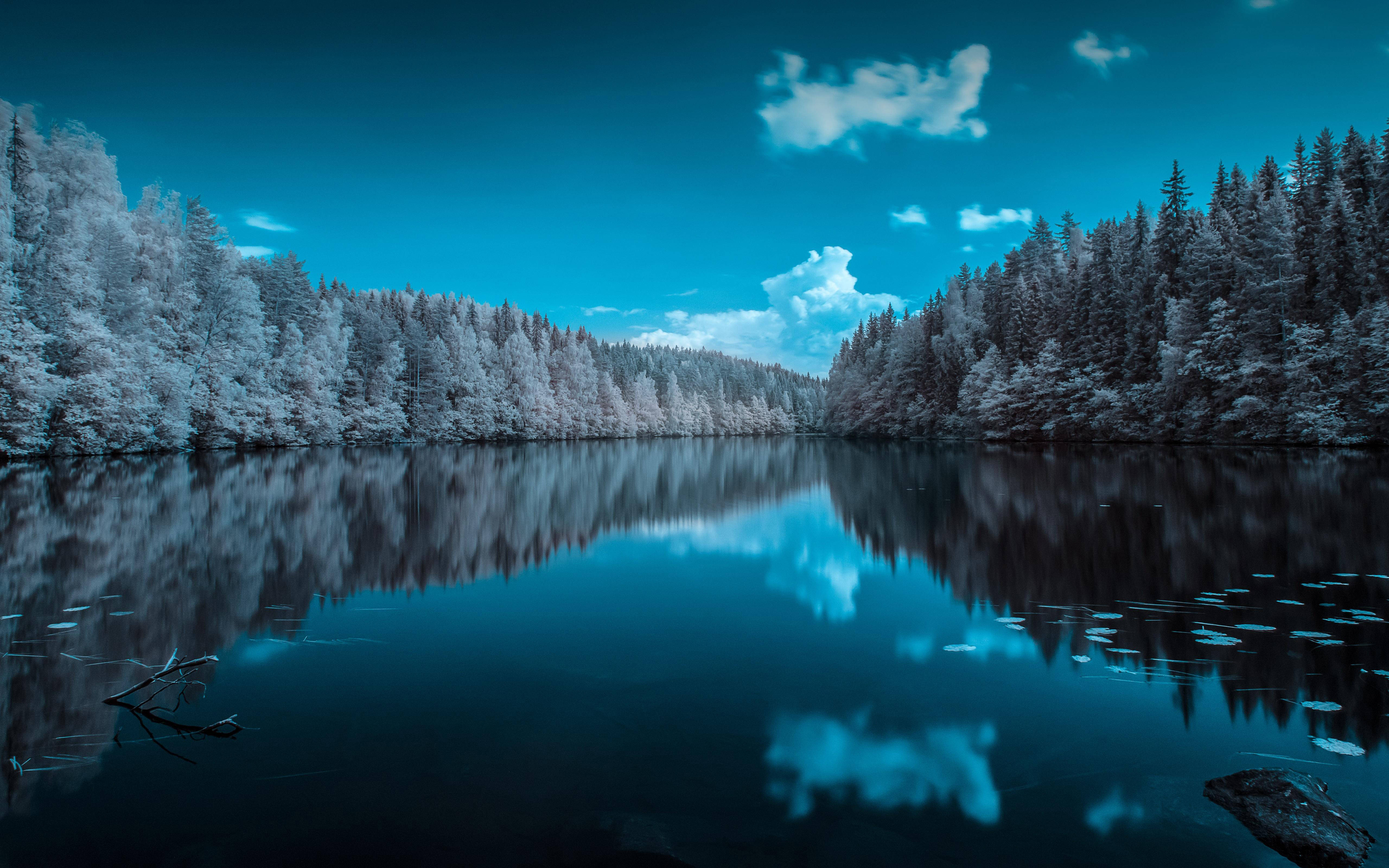 Forest Lake, Finland, winter lake, 5K Desktop Wallpaper