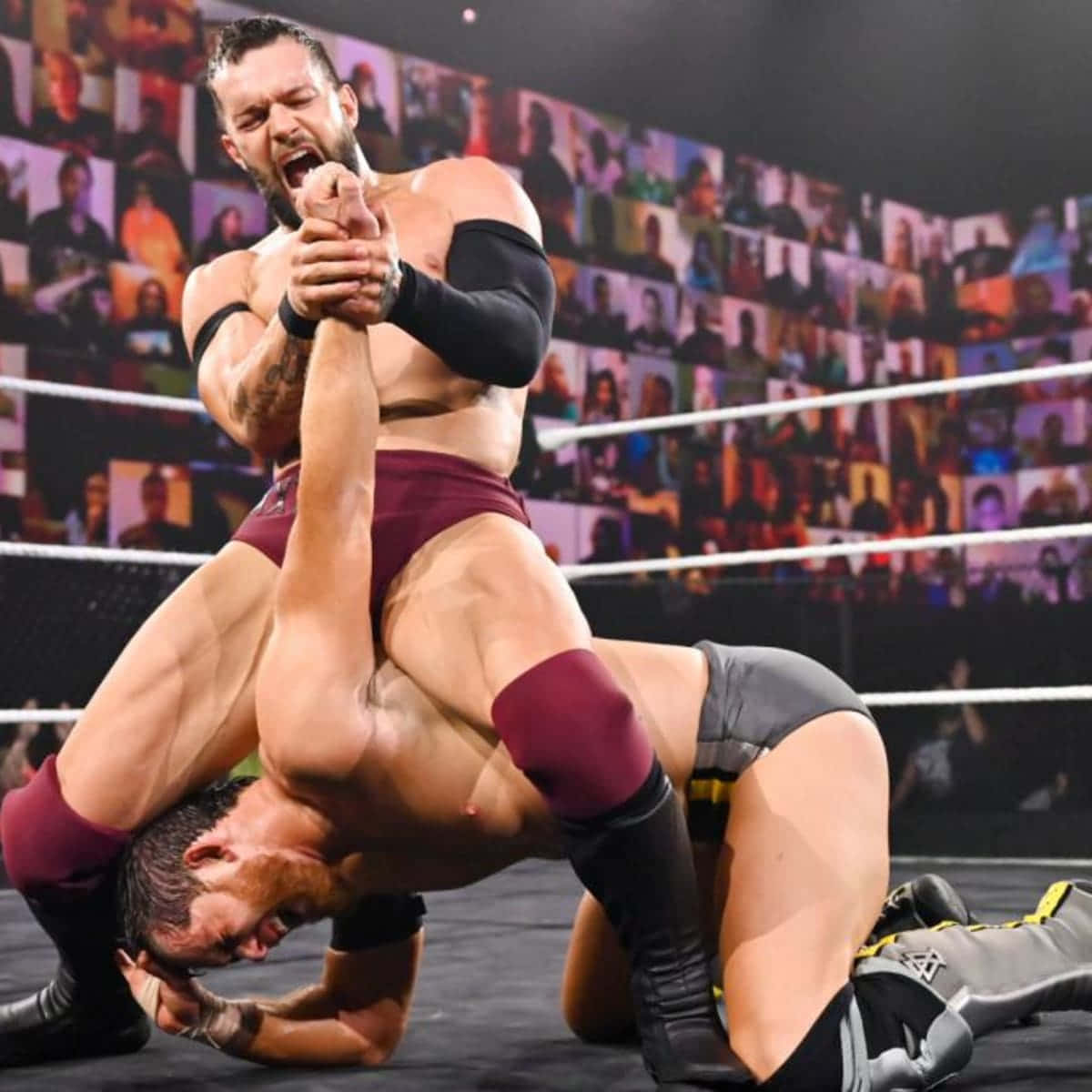 Finn Balor, wrestlers, ring, SD Desktop Wallpaper