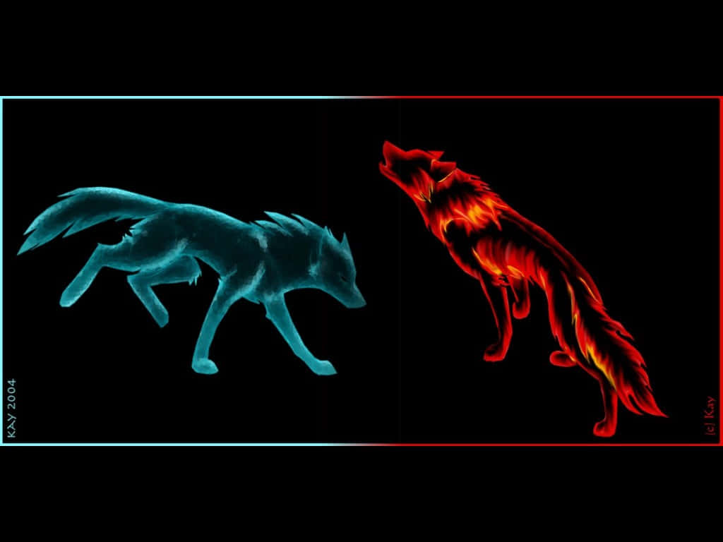 Fire And Ice Wolf, icy blue, fiery red, SD Desktop Wallpaper