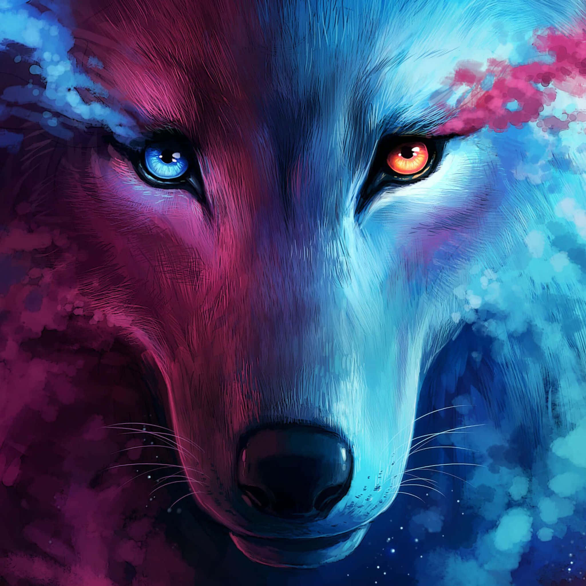 Fire And Ice Wolf, blue eye, orange eye, Full HD Desktop Wallpaper