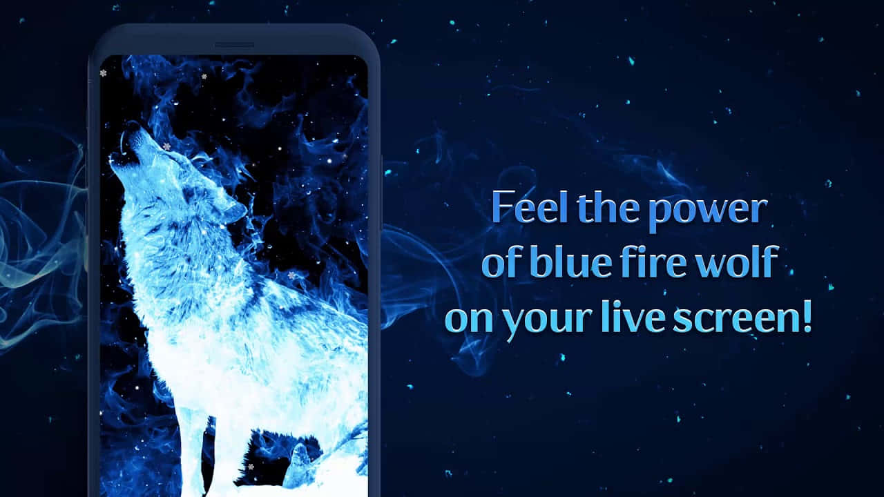 Fire And Ice Wolf, glowing blue wolf, fiery aura, HD Desktop Wallpaper