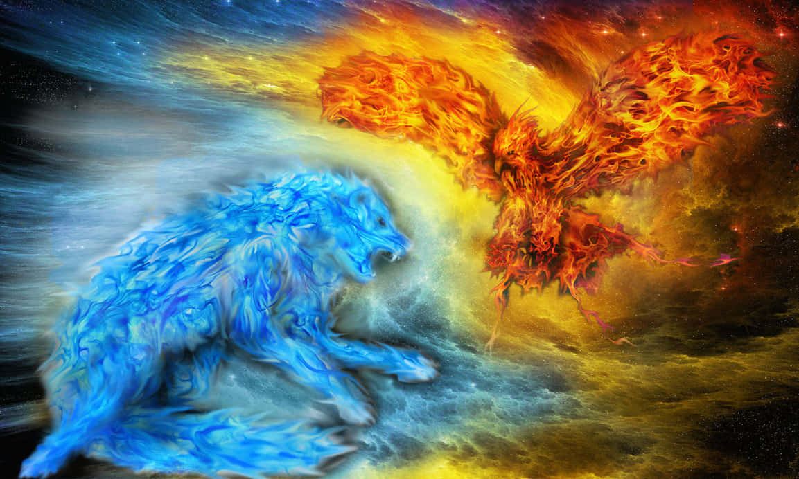Fire and Ice Wolf, blue wolf, fiery phoenix, SD Desktop Wallpaper