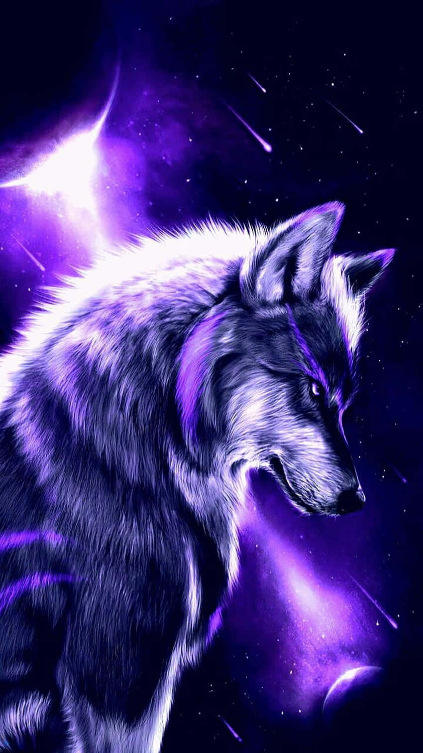 Fire And Ice Wolf, glowing purple fur, cosmic backdrop, HD Phone Wallpaper
