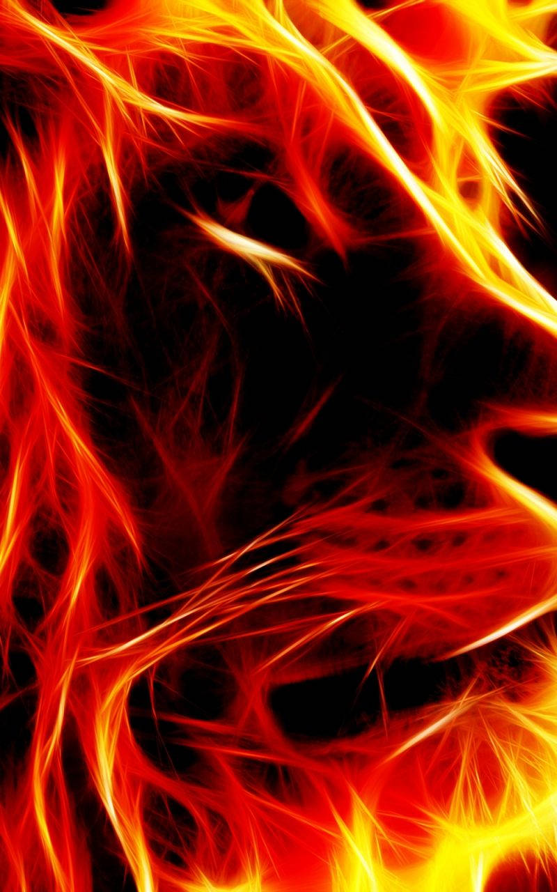 Fire Lion, fractal flames, fiery reds, HD Phone Wallpaper