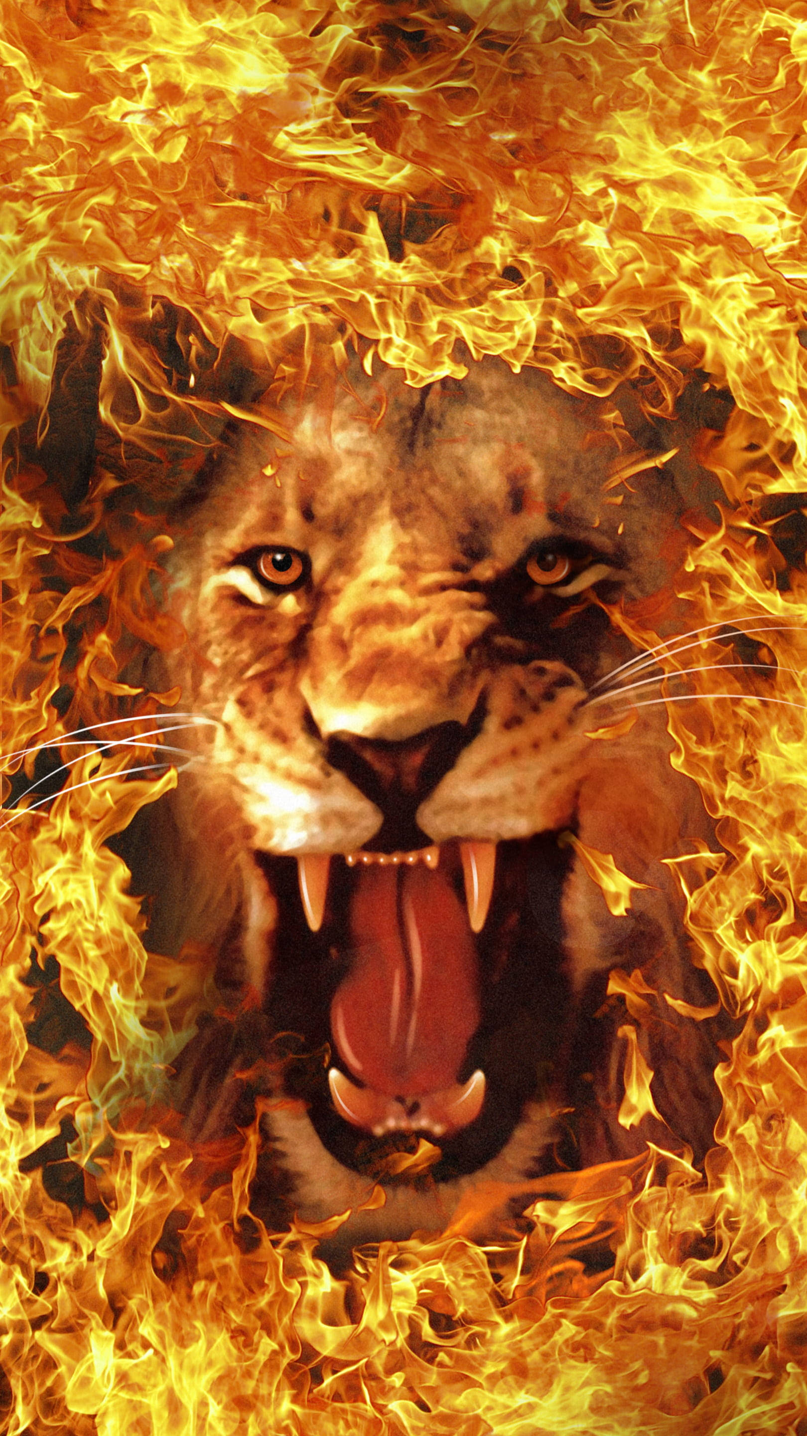 Fire Lion, flame border, roaring lion, 2K Phone Wallpaper