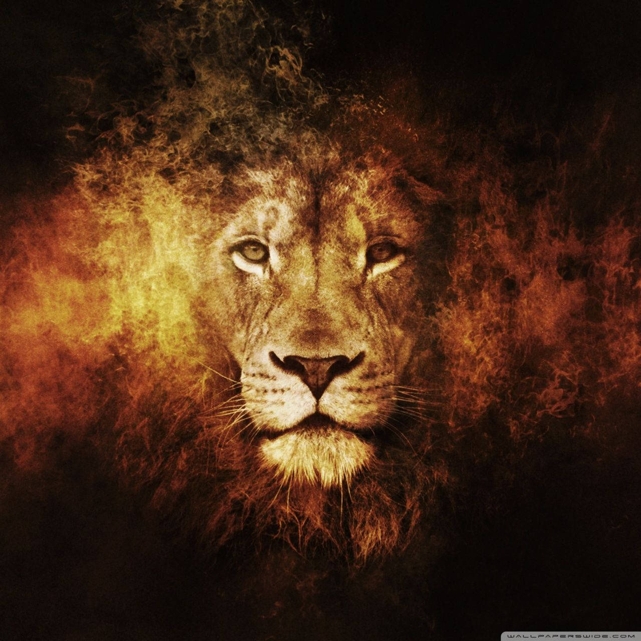 blazing lion, fiery orange, gold smoke, HD Desktop Wallpaper