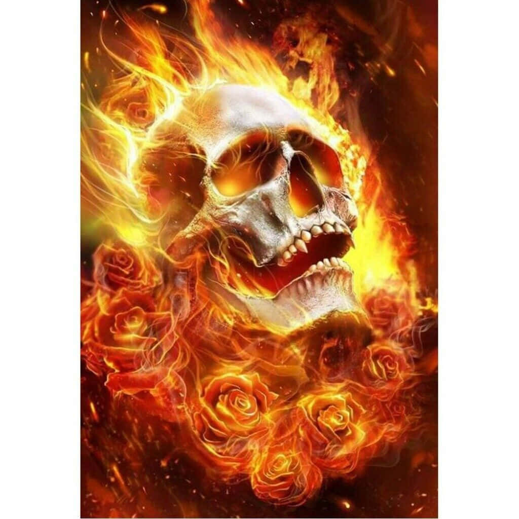 red flame skull, flaming skull, burning roses, SD Desktop Wallpaper