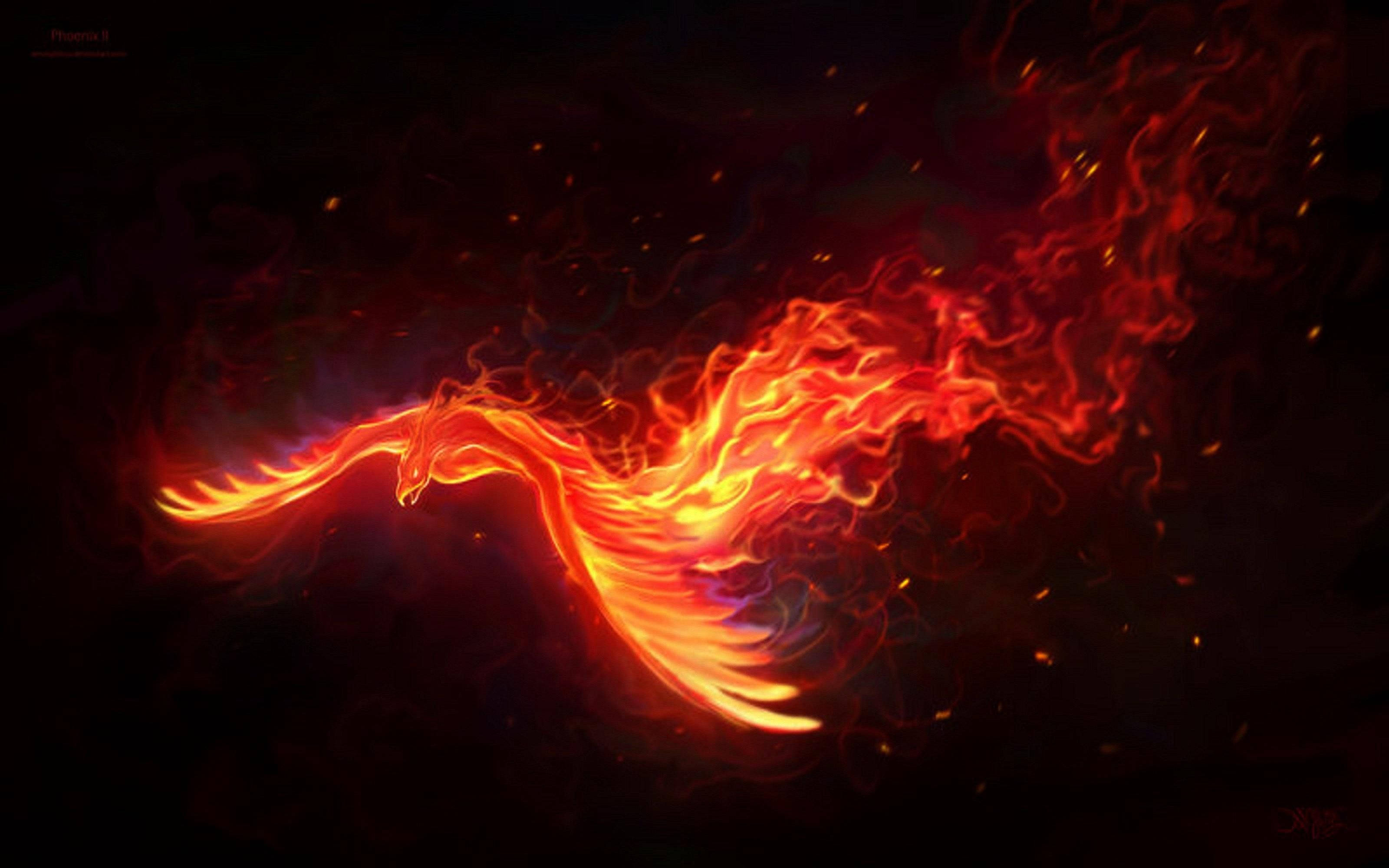 flying phoenix, fire wings, swirling flames, 2K Desktop Wallpaper