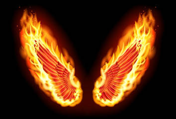 Fire Wings, orange flames, yellow flames, SD Desktop Wallpaper